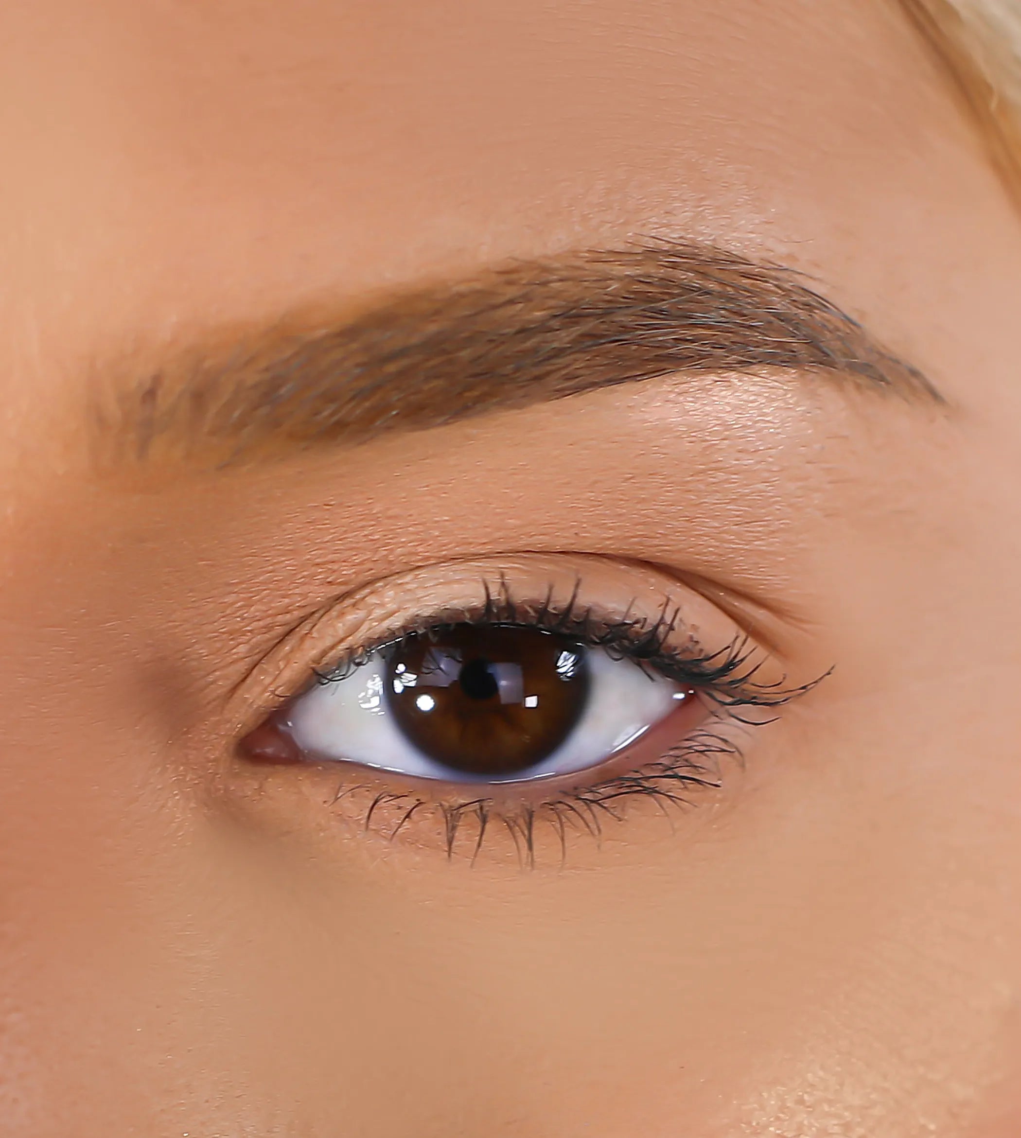 3D Mink Eyelashes - Cece