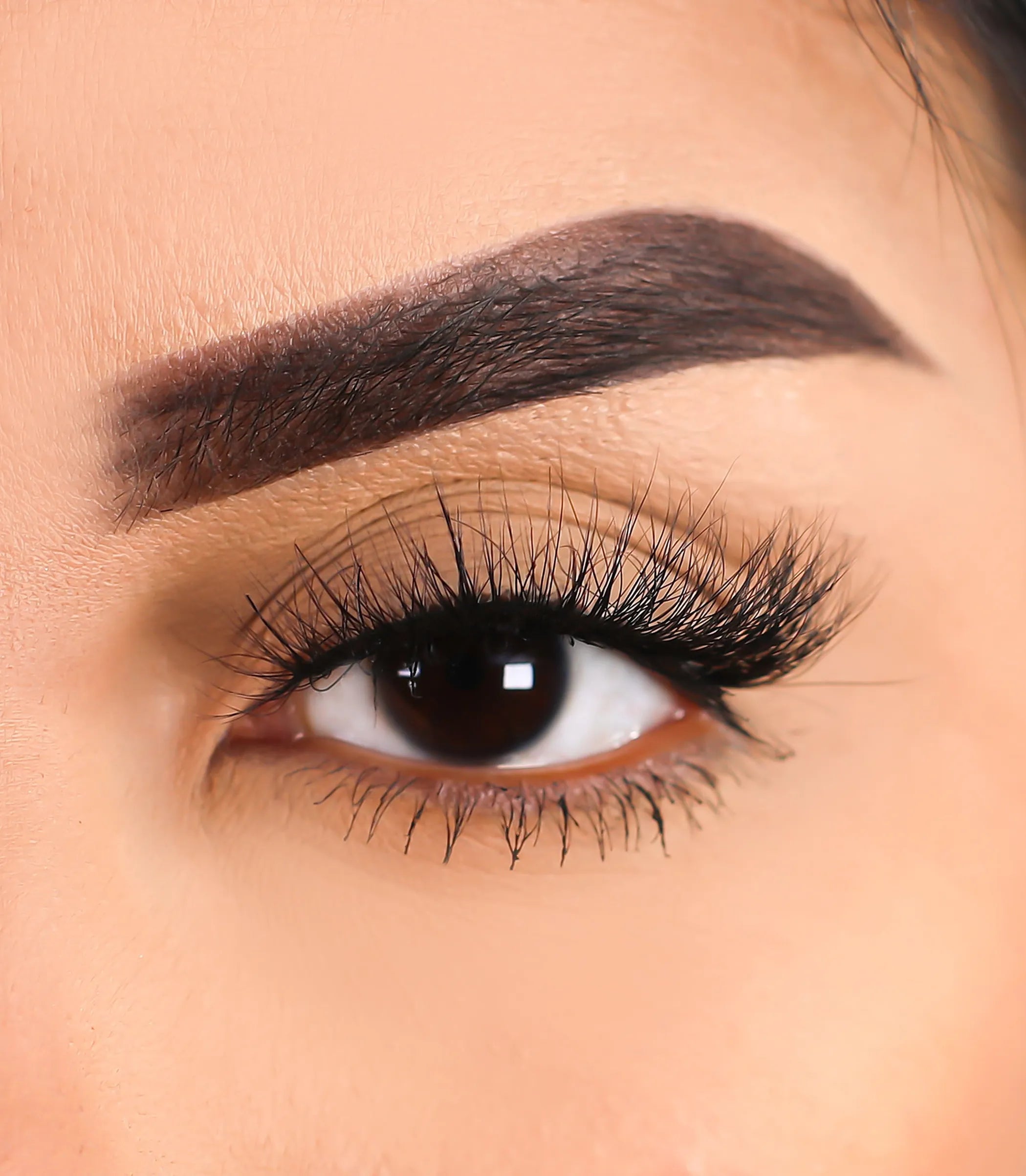 3D Mink Eyelashes - Rise