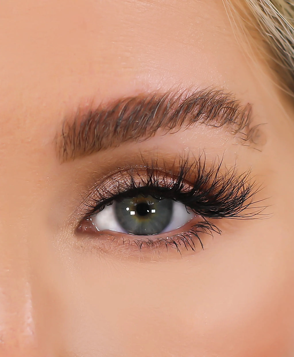 3D Mink Eyelashes - Graphic