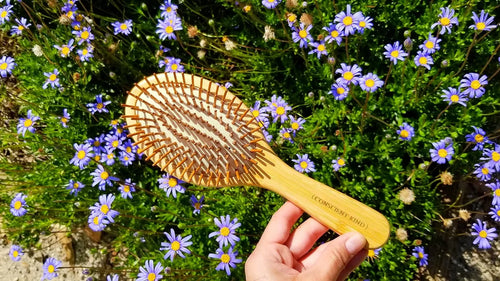Bamboo Hair Brush