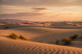 Medanos